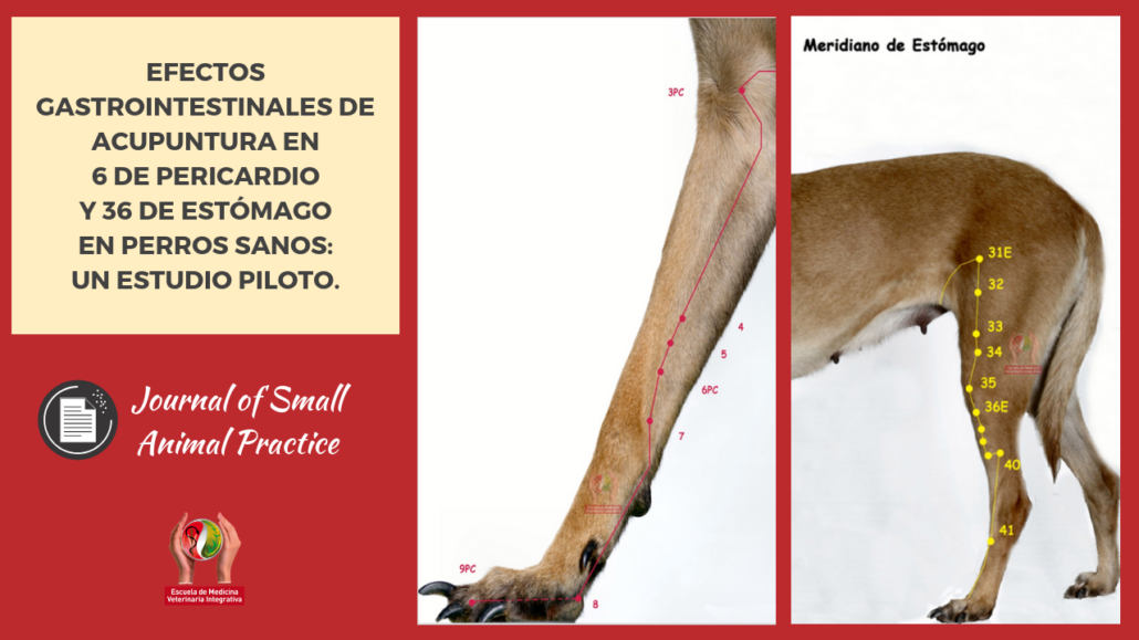 articulo_cientifico