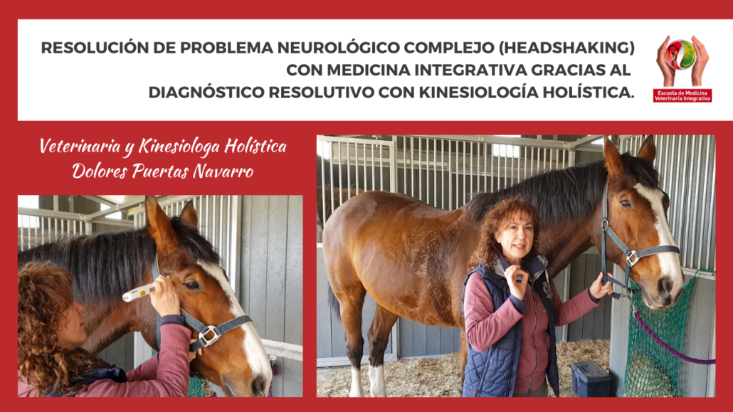 largo_casos_clinicos_canva_2.0_1_1